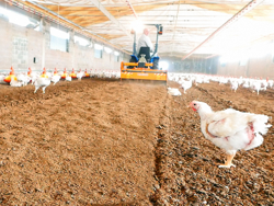 shatter milling machine mixture facing bedding for poultry farms pavo 120