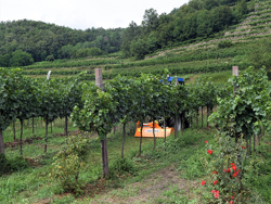 flail mower for compact tractors 140cm mulcher shredder with hammers lince 140