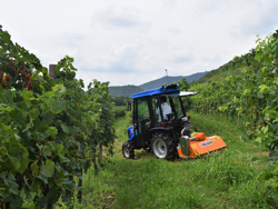 flail mower with adjustable sideshift multipurpose mulcher 100cm with hammers lince sp100