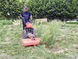 reversible two wheel tractor loncin 420cc